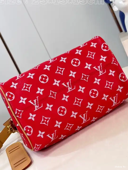 25 Vuitton Louis SPEEDY 0524
